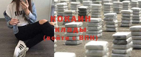 индика Беломорск