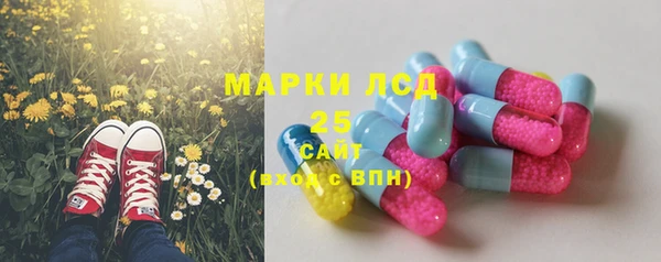 индика Беломорск