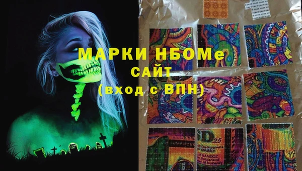 индика Беломорск