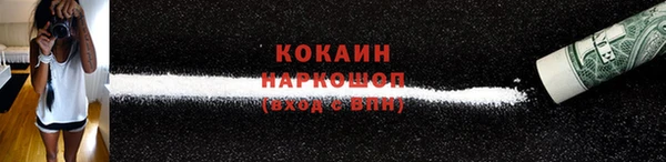 индика Беломорск
