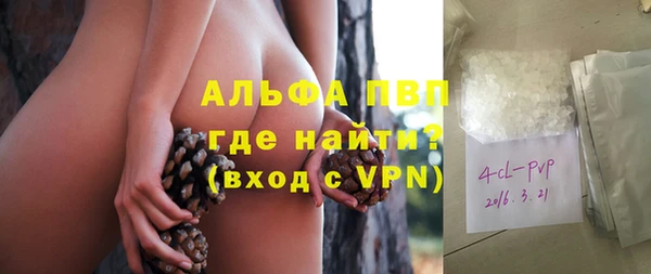 индика Беломорск