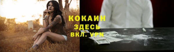 индика Беломорск