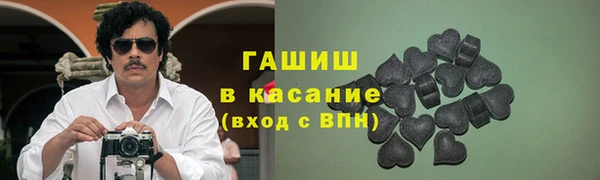 индика Беломорск