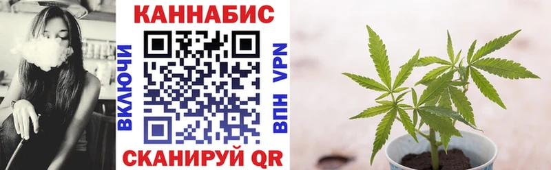 Бошки Шишки семена Усмань